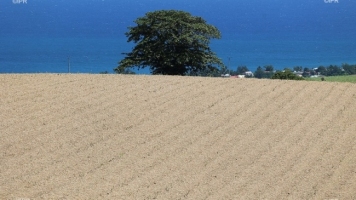Journée régionale santé environnement les méthodes mises en  ... Image 1